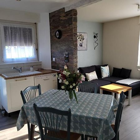 Appartement Au Cigogneau Wifi-Netflix-Balcon-Parking Munster  Luaran gambar