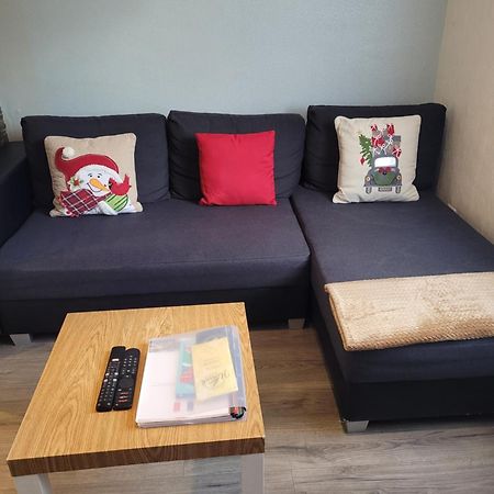 Appartement Au Cigogneau Wifi-Netflix-Balcon-Parking Munster  Luaran gambar