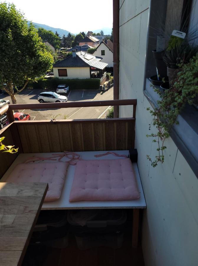 Appartement Au Cigogneau Wifi-Netflix-Balcon-Parking Munster  Luaran gambar