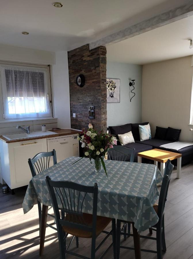 Appartement Au Cigogneau Wifi-Netflix-Balcon-Parking Munster  Luaran gambar