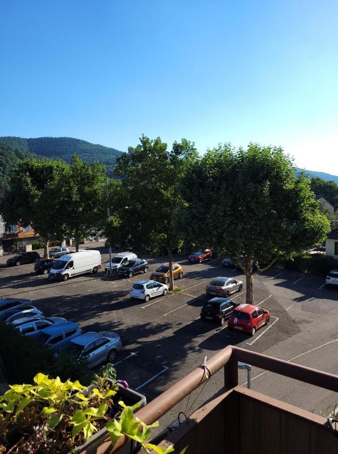 Appartement Au Cigogneau Wifi-Netflix-Balcon-Parking Munster  Luaran gambar